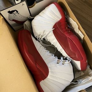 Jordan 12 cherry 2009
